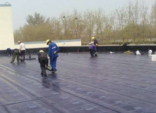 ������������ˮ